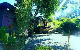 Cozy House Hostel